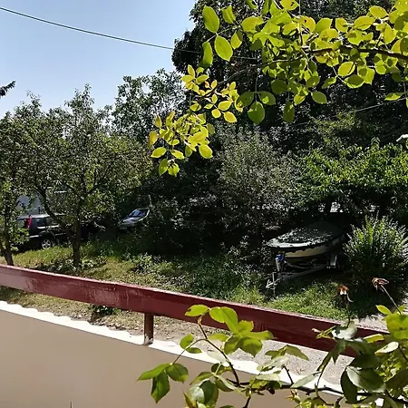Green Lounge Κλουζ-Ναπόκα